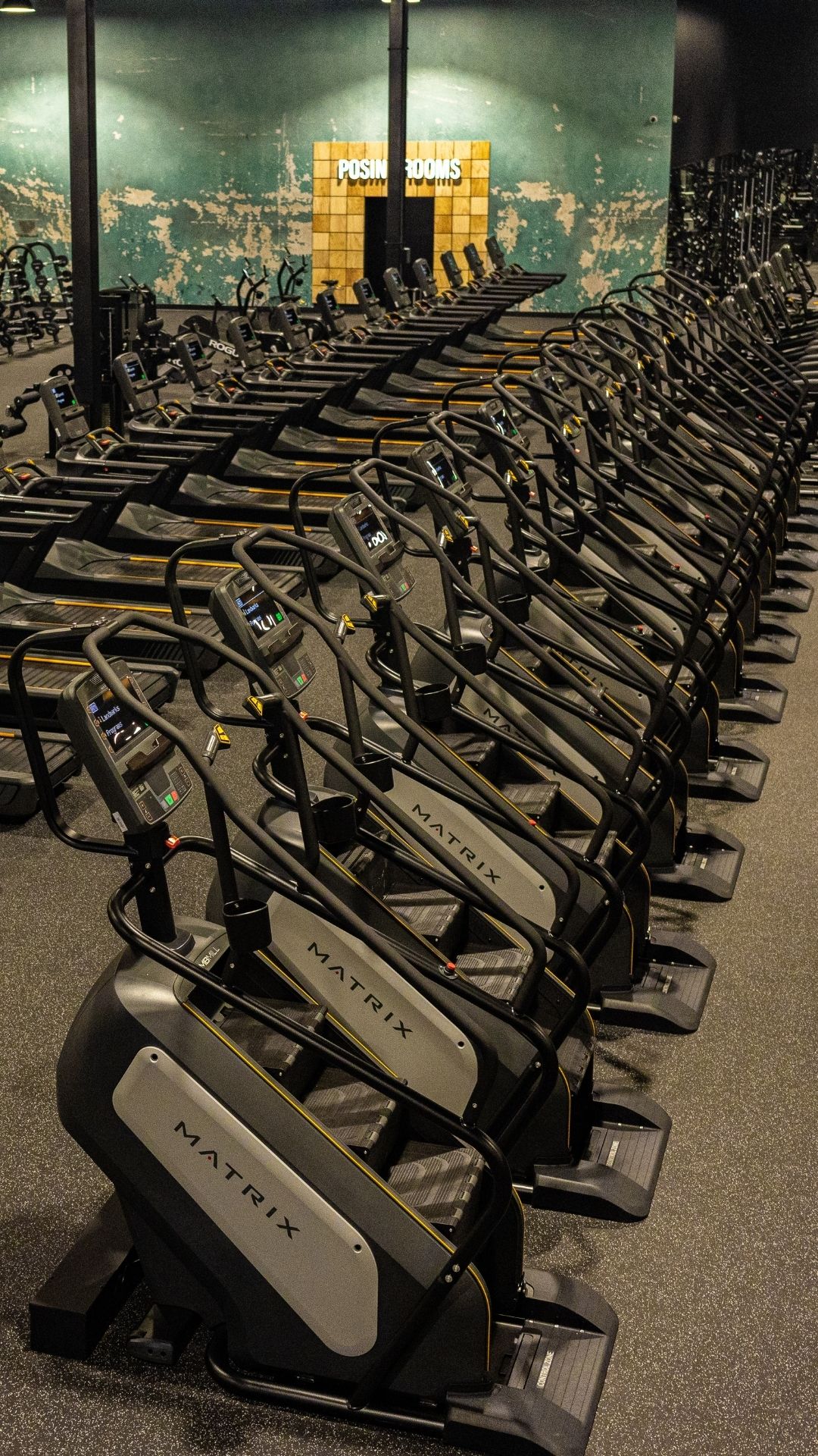 Row of Matrix cardio machines at Gold's Gym Arvada with posing rooms in the background