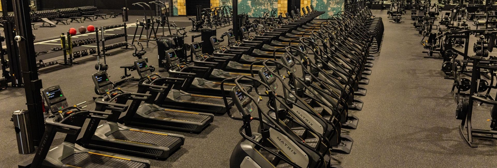 Wide view of cardio and strength training floor with Matrix treadmills and free weights at Gold's Gym Arvada