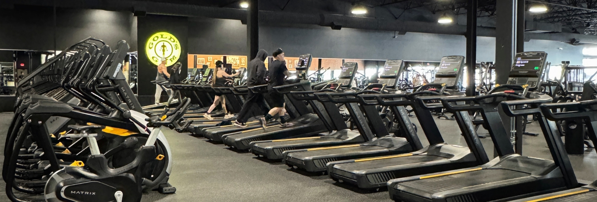Row of treadmills and cardio equipment at Gold’s Gym Thornton with members training on the cardio floor.