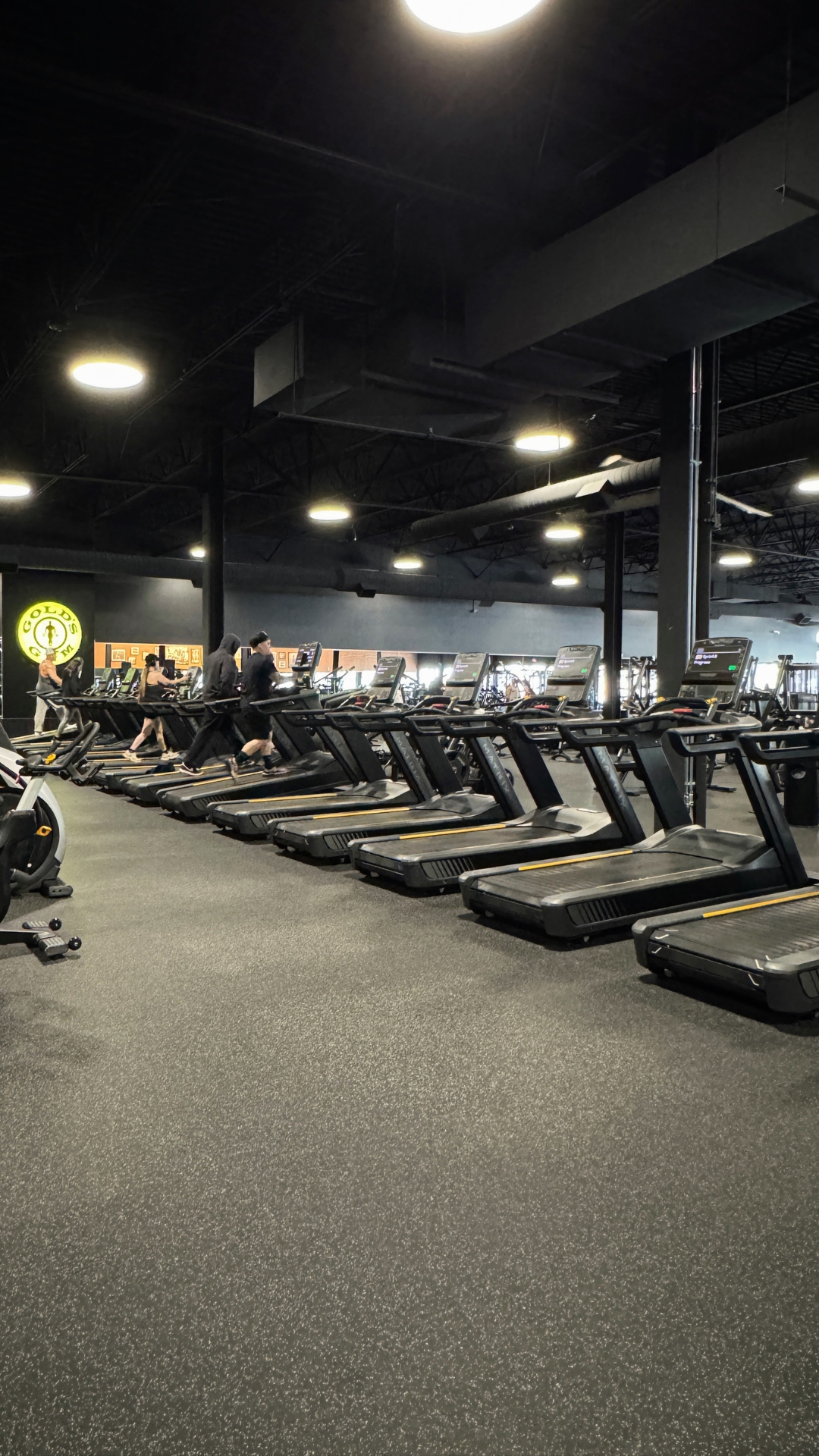 Row of treadmills and cardio equipment at Gold’s Gym Thornton with members training on the cardio floor.